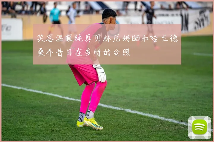 笑容温暖纯真贝林厄姆晒和哈兰德桑乔昔日在多特的合照